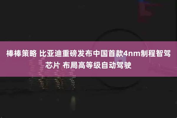 棒棒策略 比亚迪重磅发布中国首款4nm制程智驾芯片 布局高等级自动驾驶