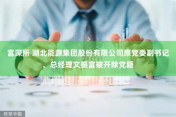 富深所 湖北能源集团股份有限公司原党委副书记、总经理文振富被开除党籍