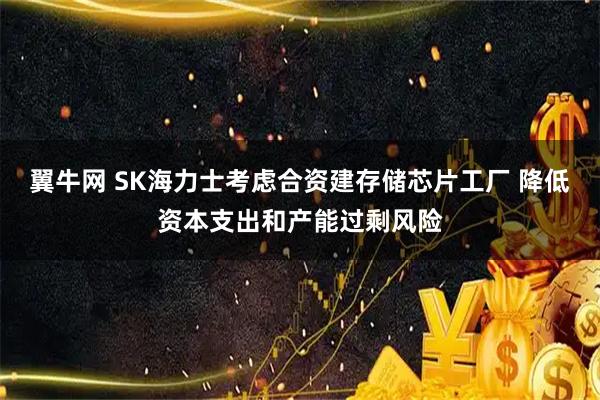 翼牛网 SK海力士考虑合资建存储芯片工厂 降低资本支出和产能过剩风险